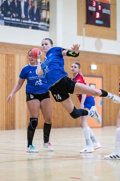 Bild 62 - wBJ TSV Ellerau - HSG Schue/We/Re : Ergebnis: 23:15